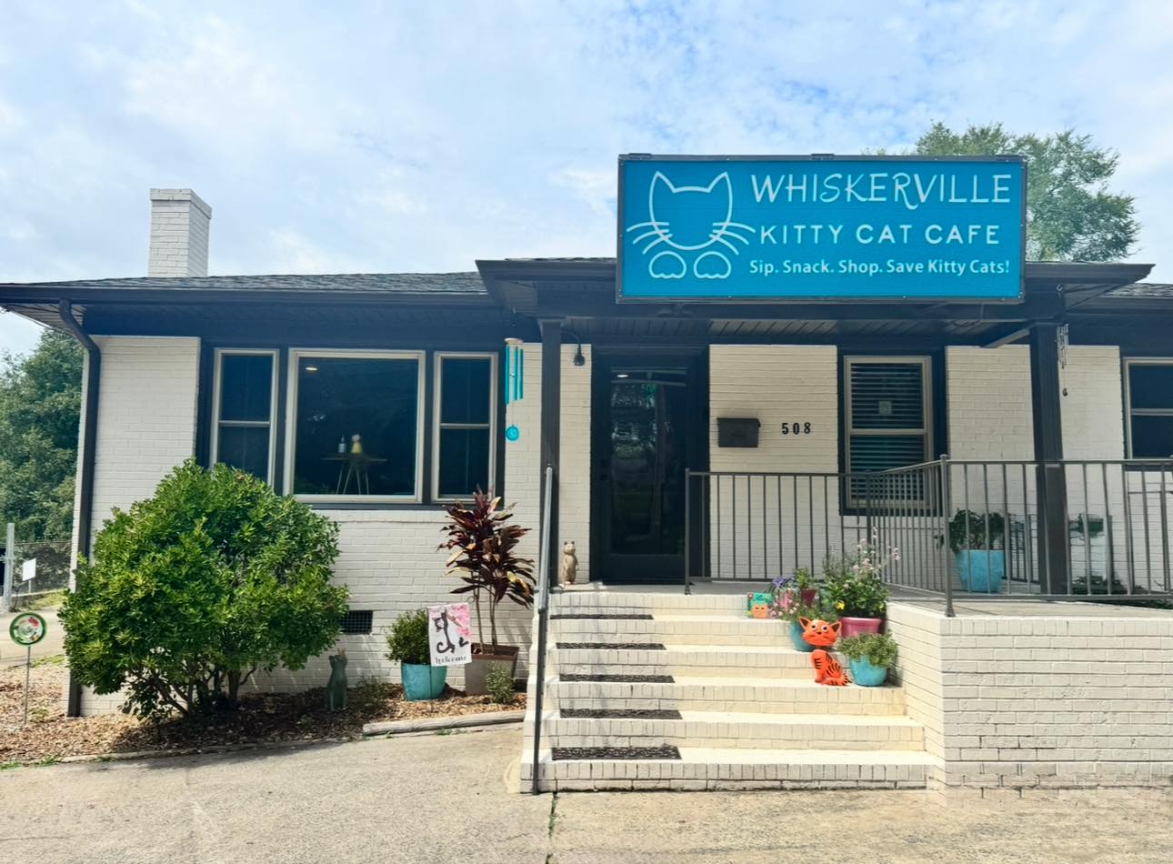 Belmont café where guests sip coffee