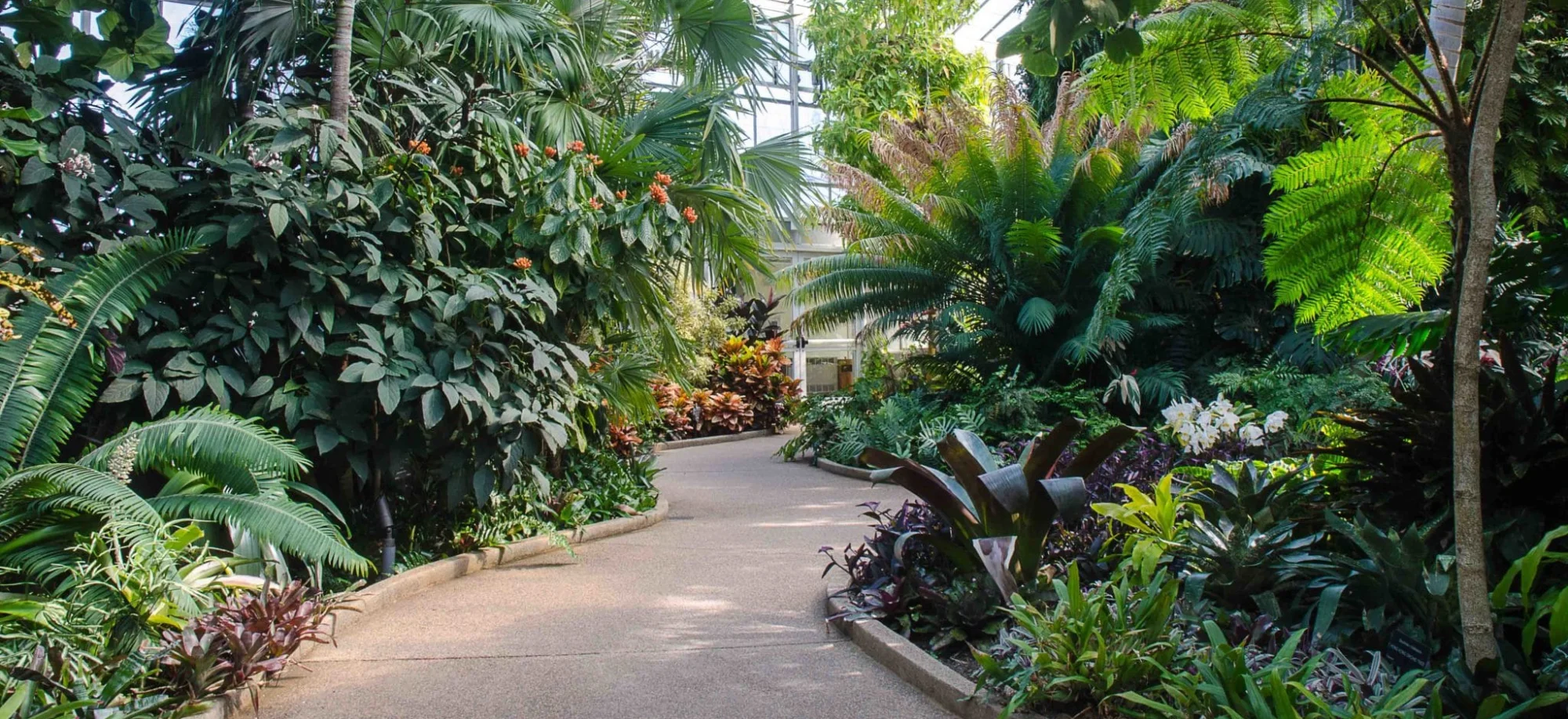 Conservatory at Daniel Stowe Conservancy