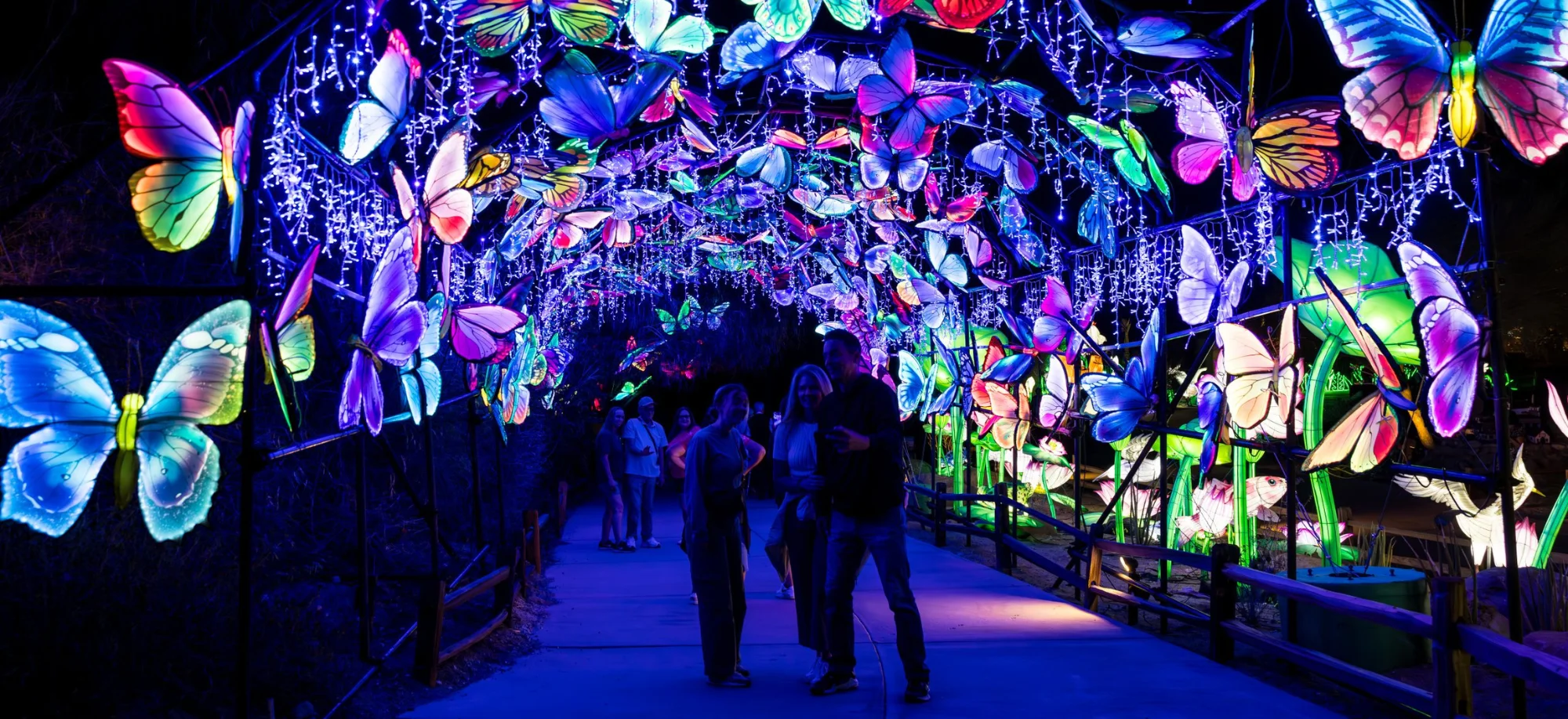 Walk through Chinese Lantern display