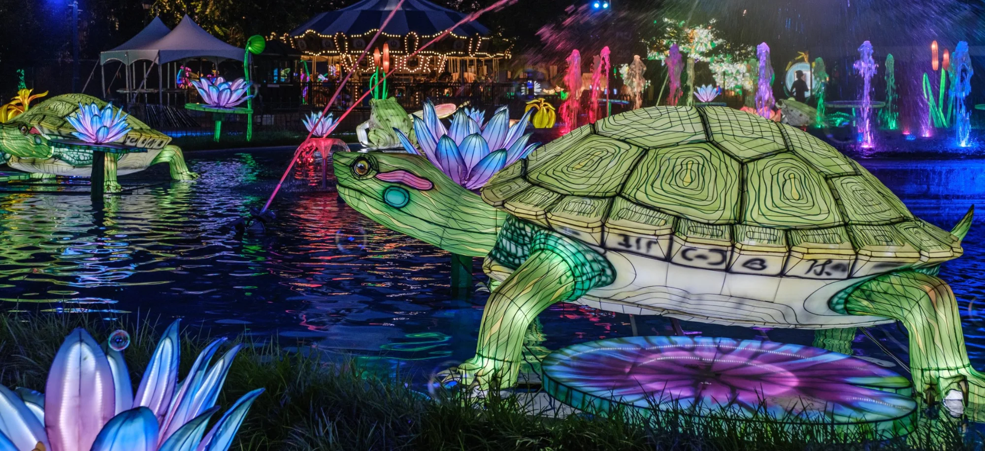 Chinese Lanterns Turtle