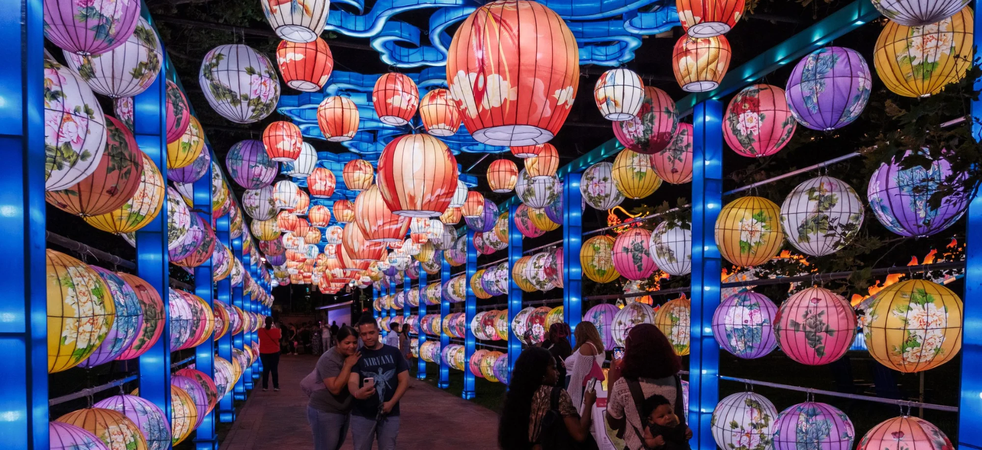 Chinese Lanterns in Belmont