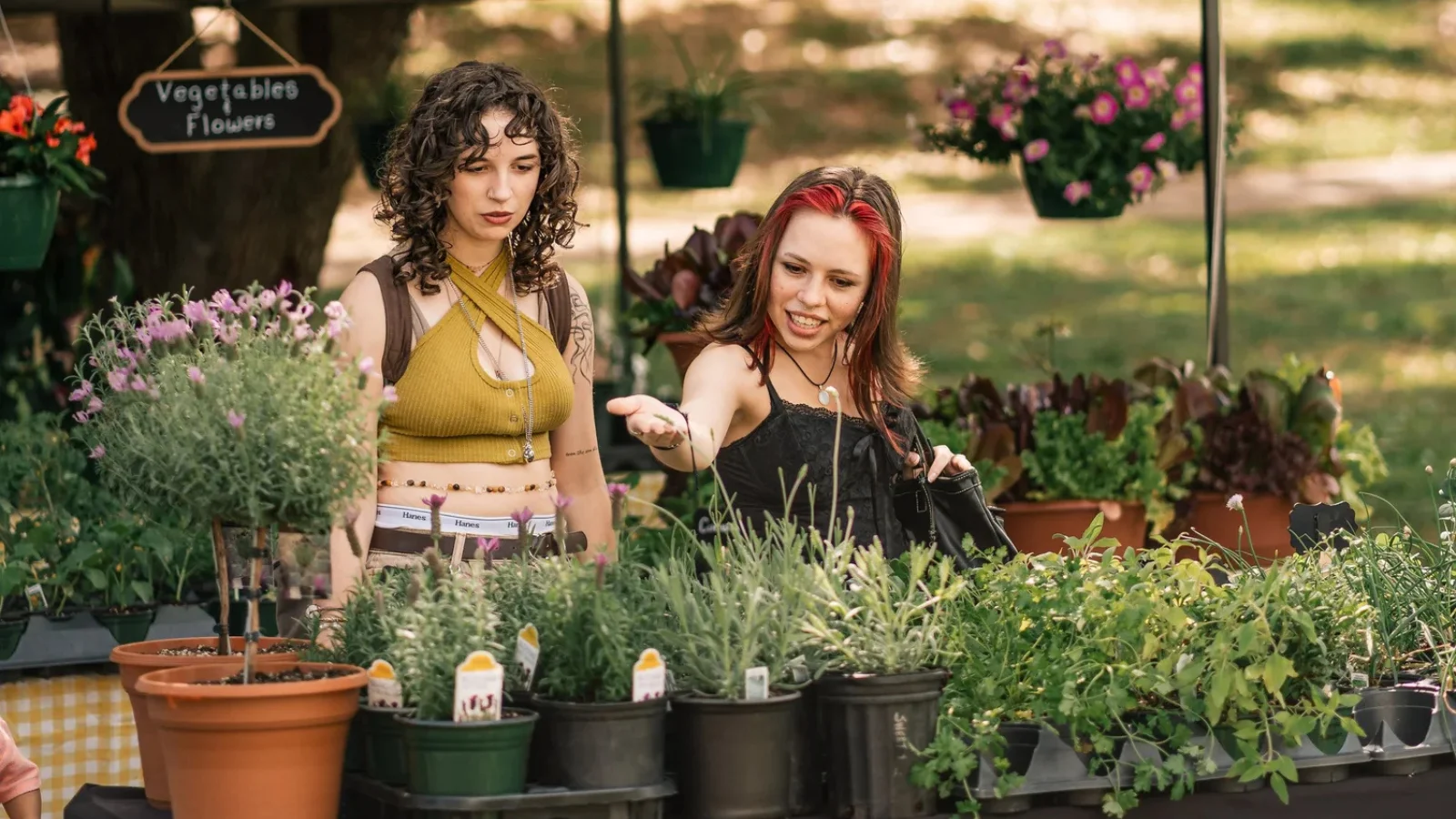 Plants at the Belmont Farmers Market
