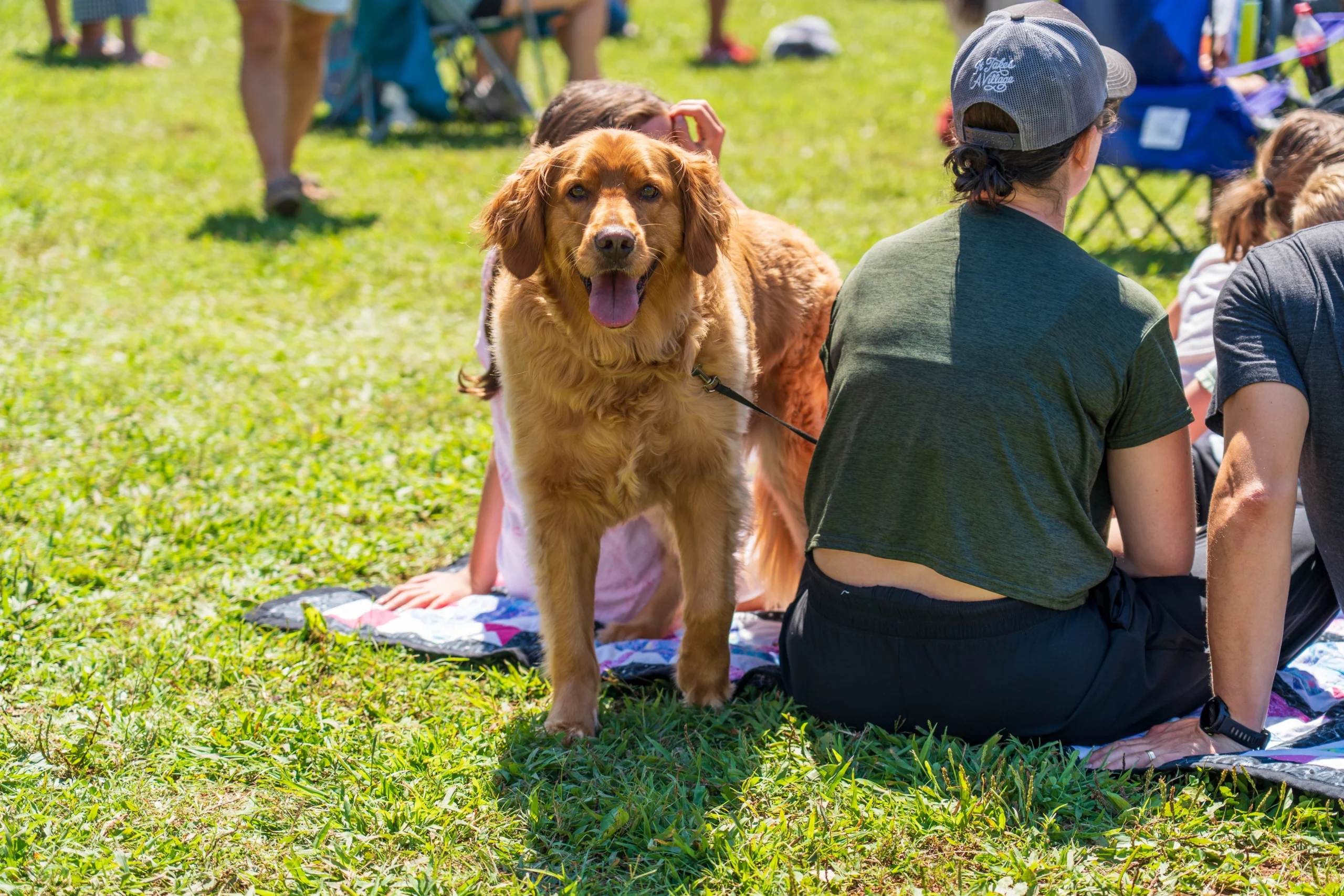 Dog Friendly Belmont, NC