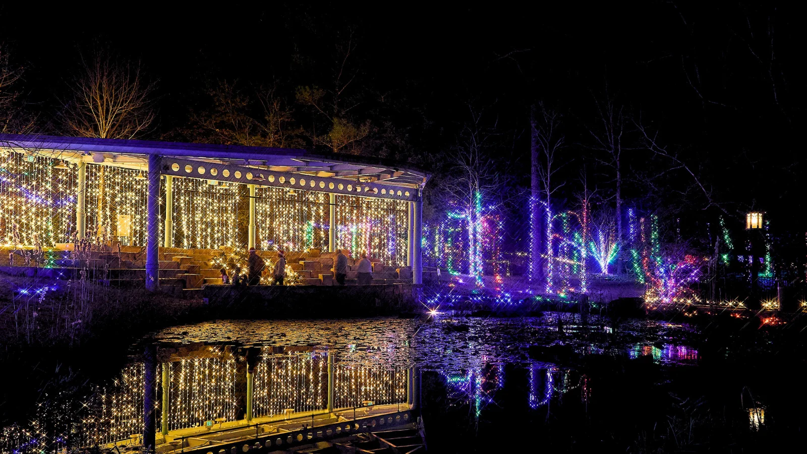 DanielStoweConservancy_Holiday_Belmont2