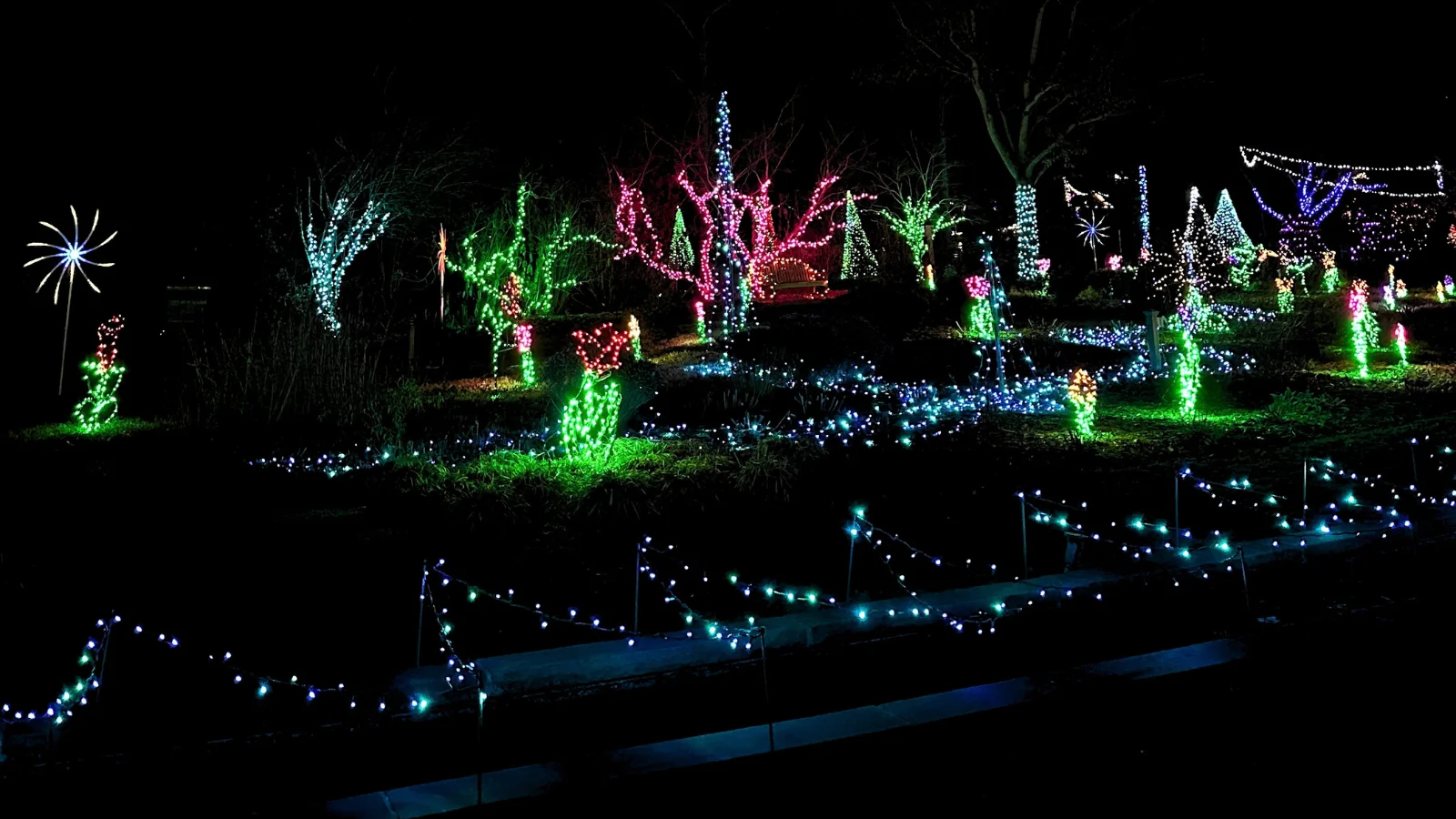 DanielStoweConservancy_Holiday_Belmont6